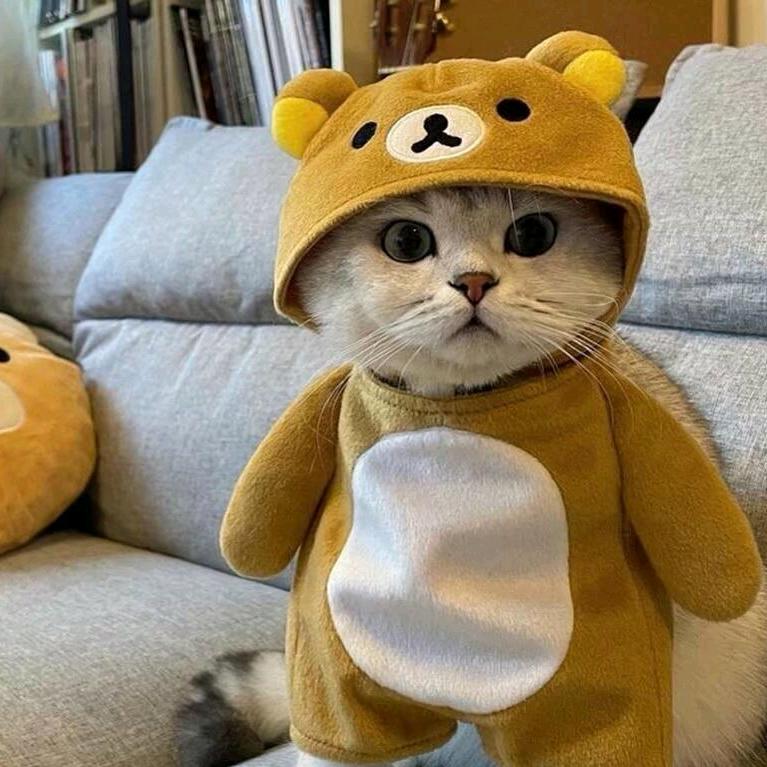 睡懒觉