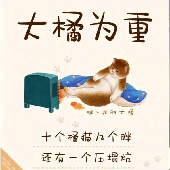 杨气满满