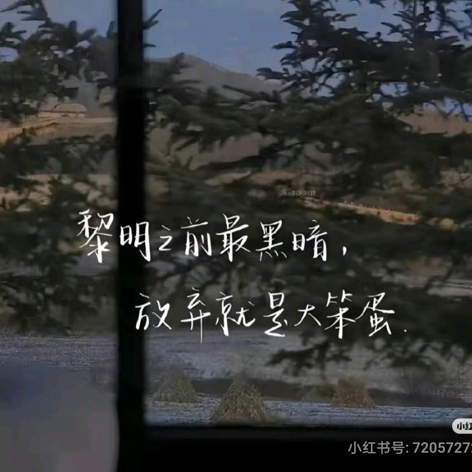 舟舟