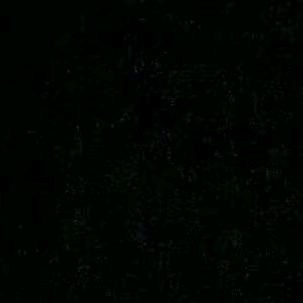 真实户外