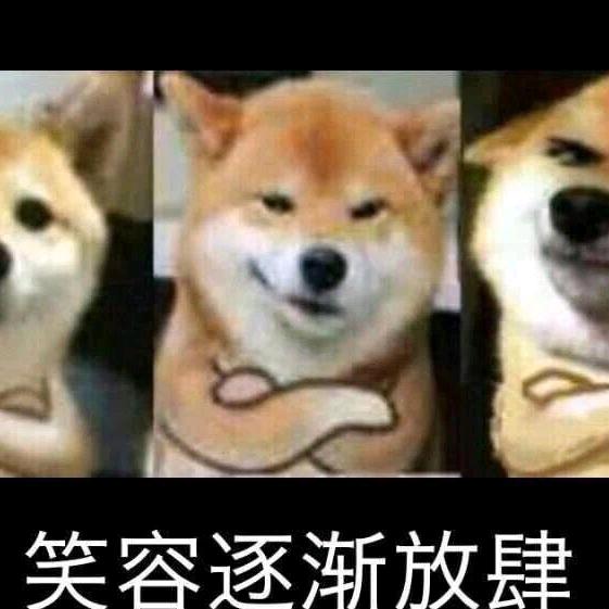 钱鱼🐟