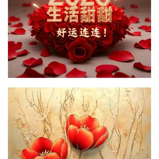 樊若琴