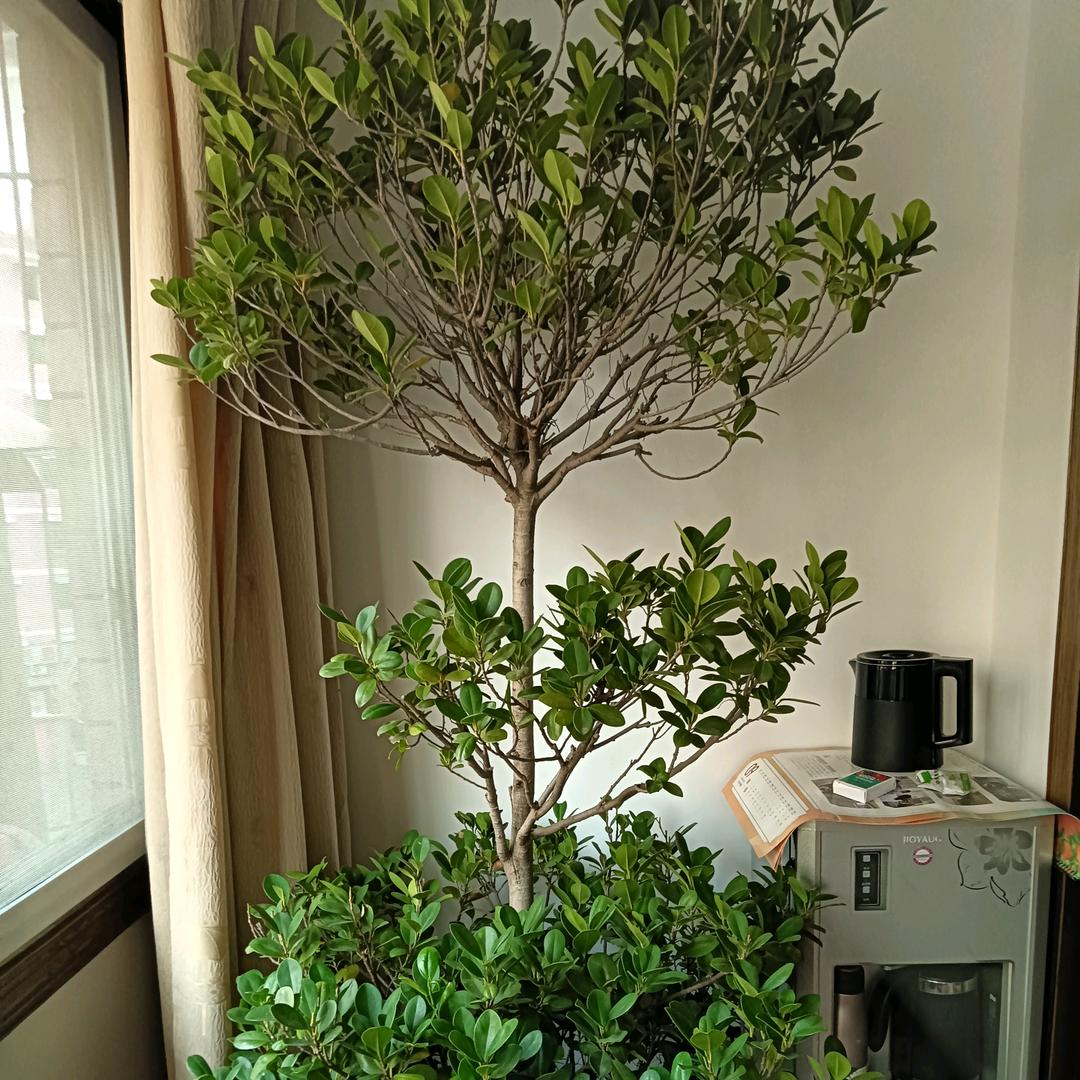 忙碌一生为儿女