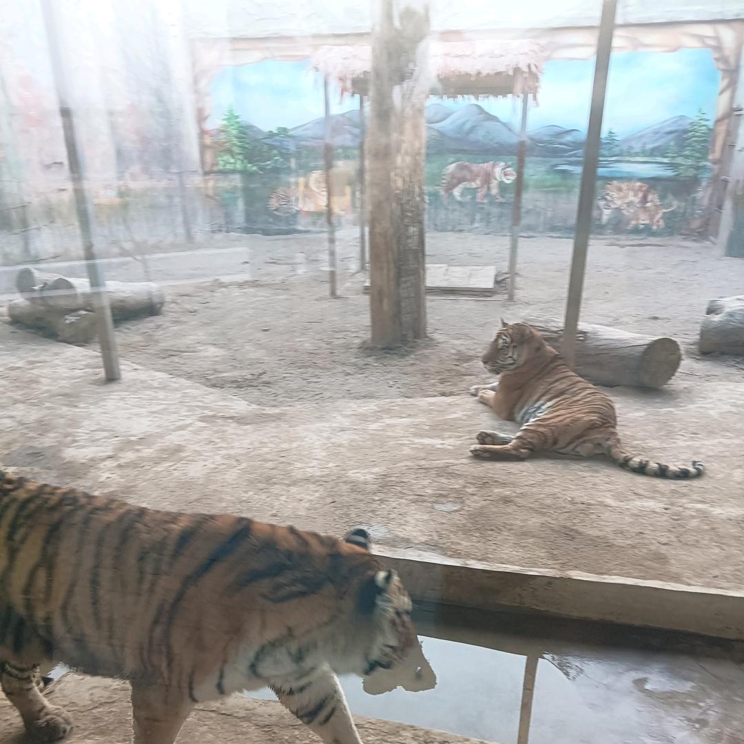 ，堂林