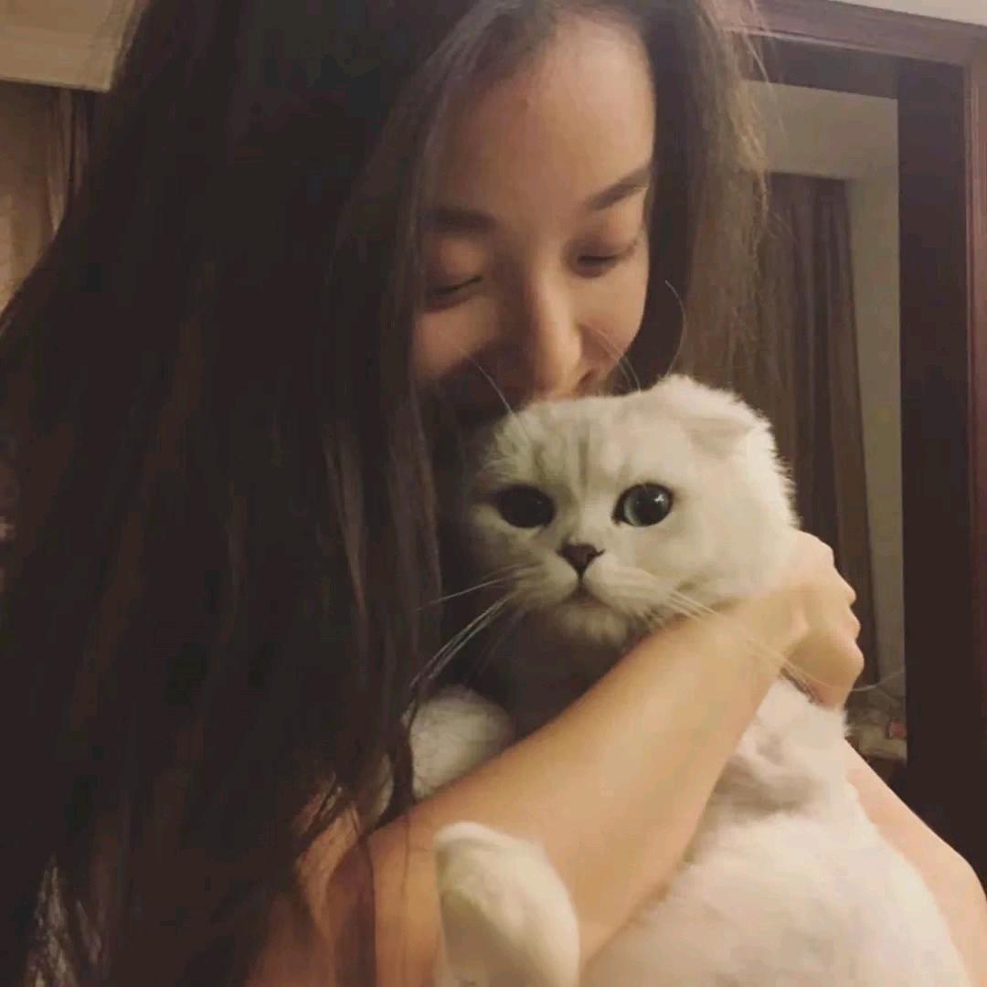 Yjie