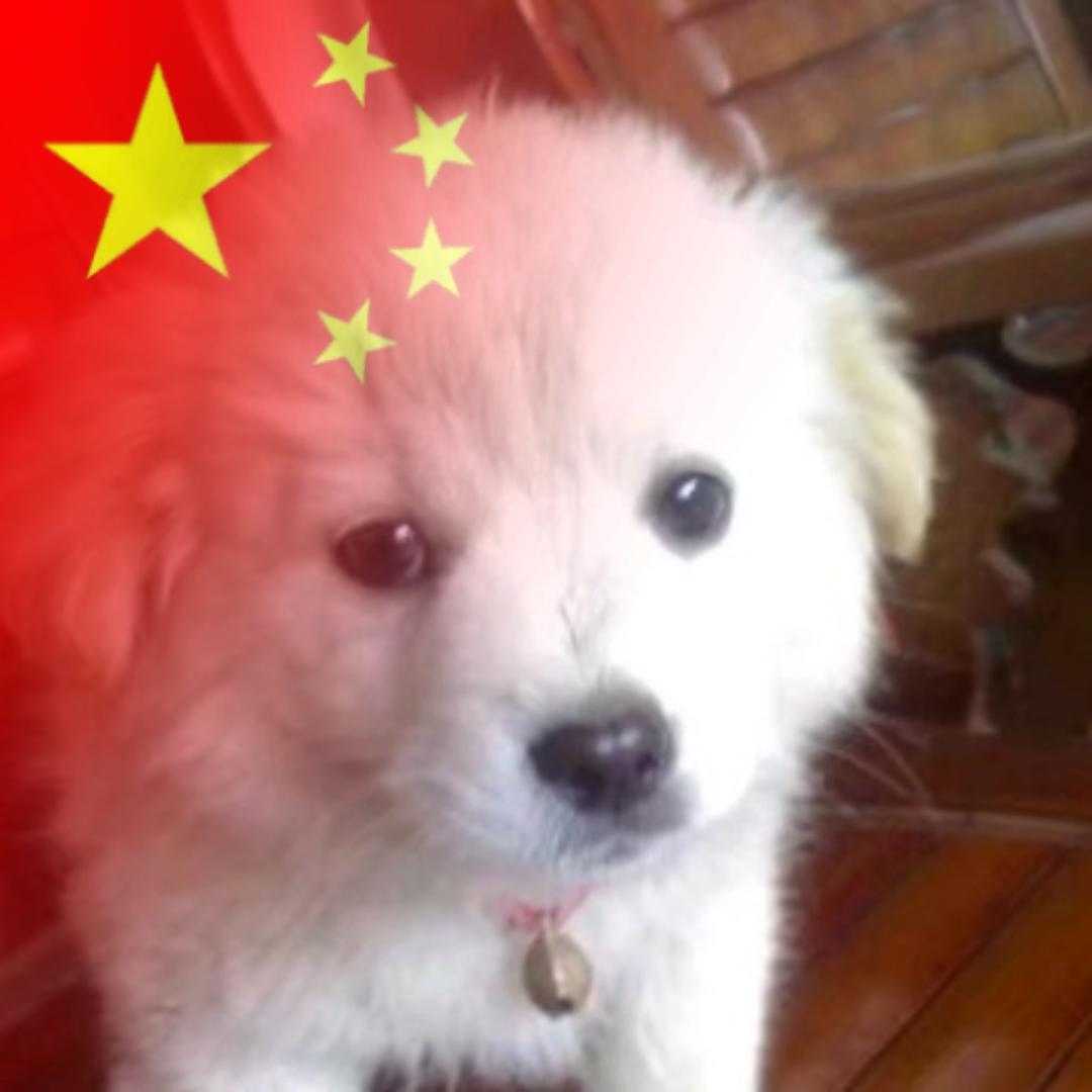 利诚缝制