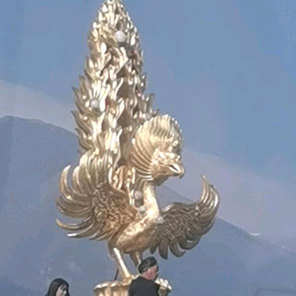向前的力量