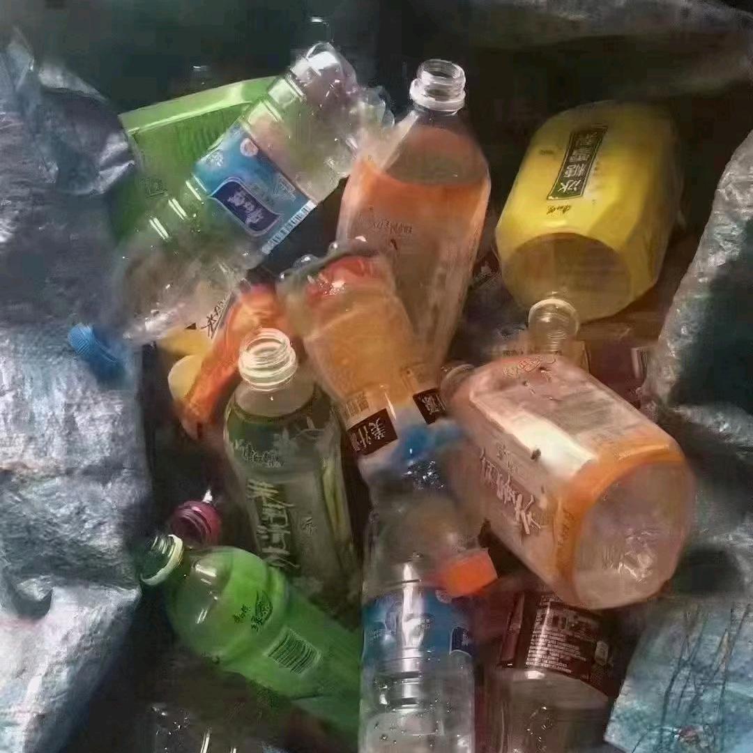 理智