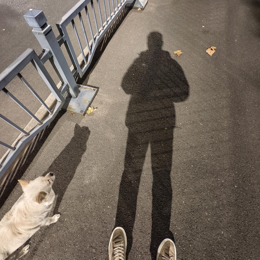 慢慢品味一杯香醇的茶，享受片刻的宁静。