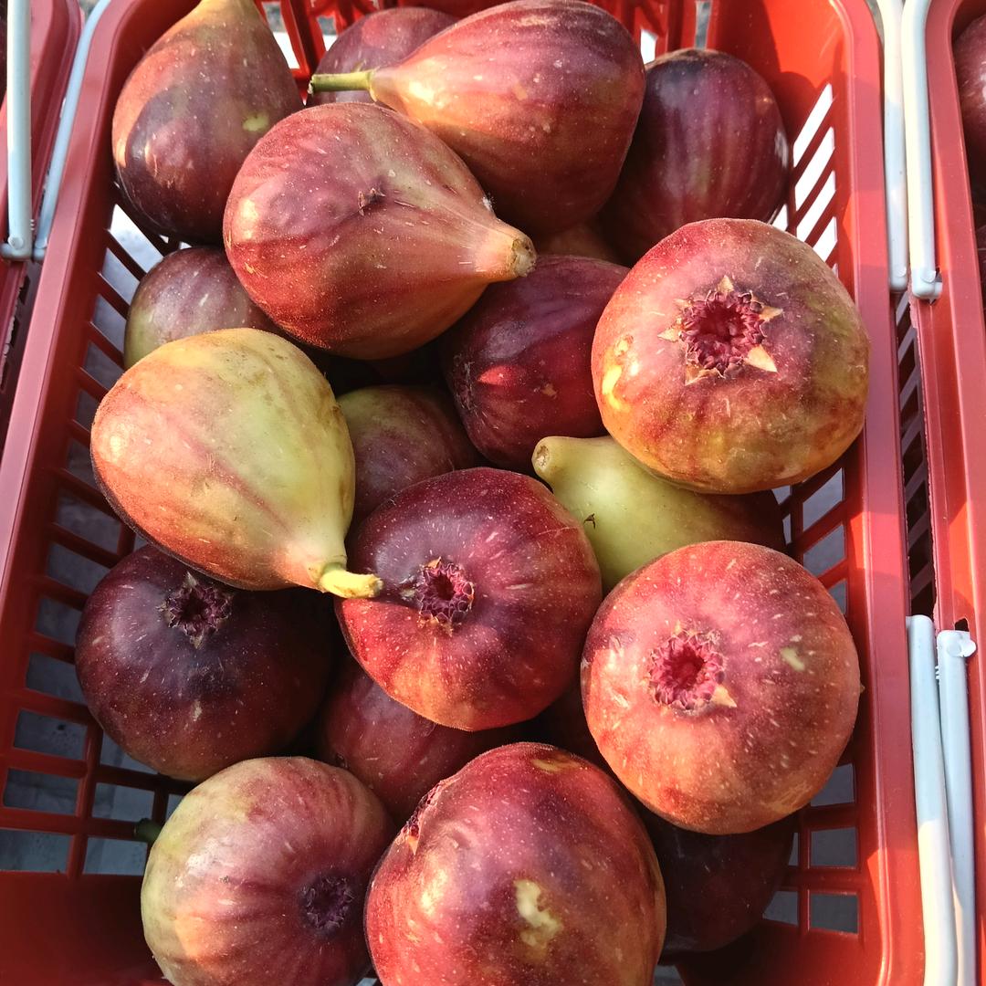 梓文优选果品，承接各类水果特产礼盒