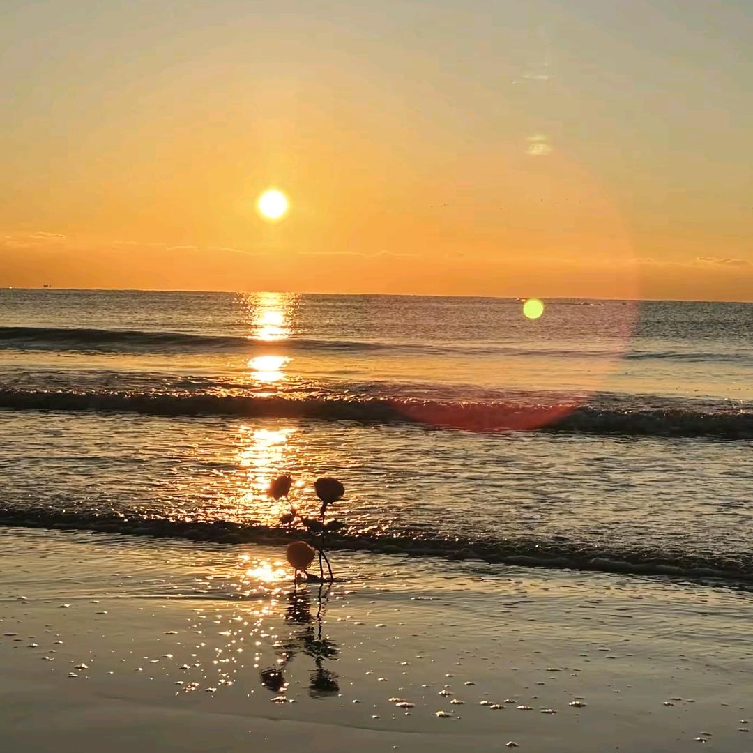 升学规划朱老师