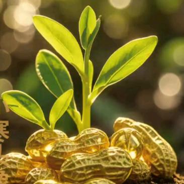 🍒এ᭄ꦿ越来越好💞ོ࿐