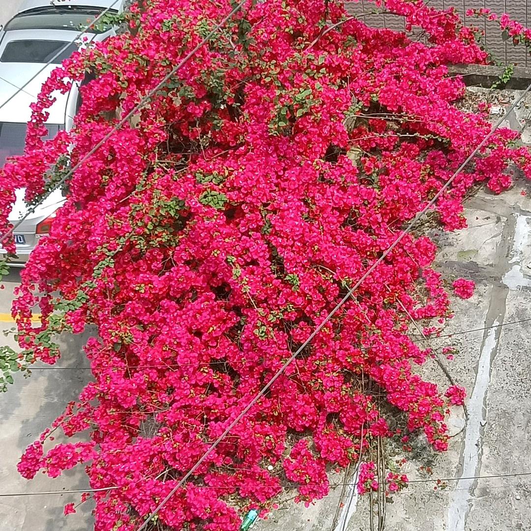 ，开心快乐每一天