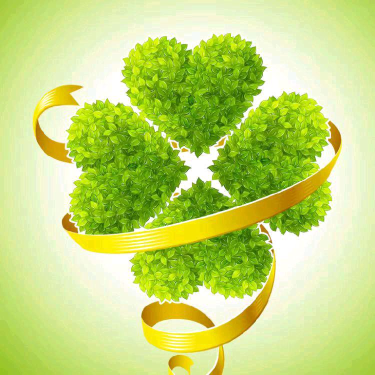 百姓家锦钰公司