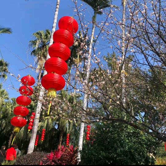 豫见美好🍎