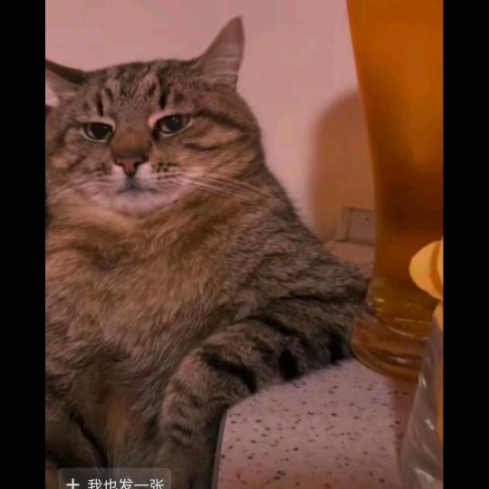 让我看看