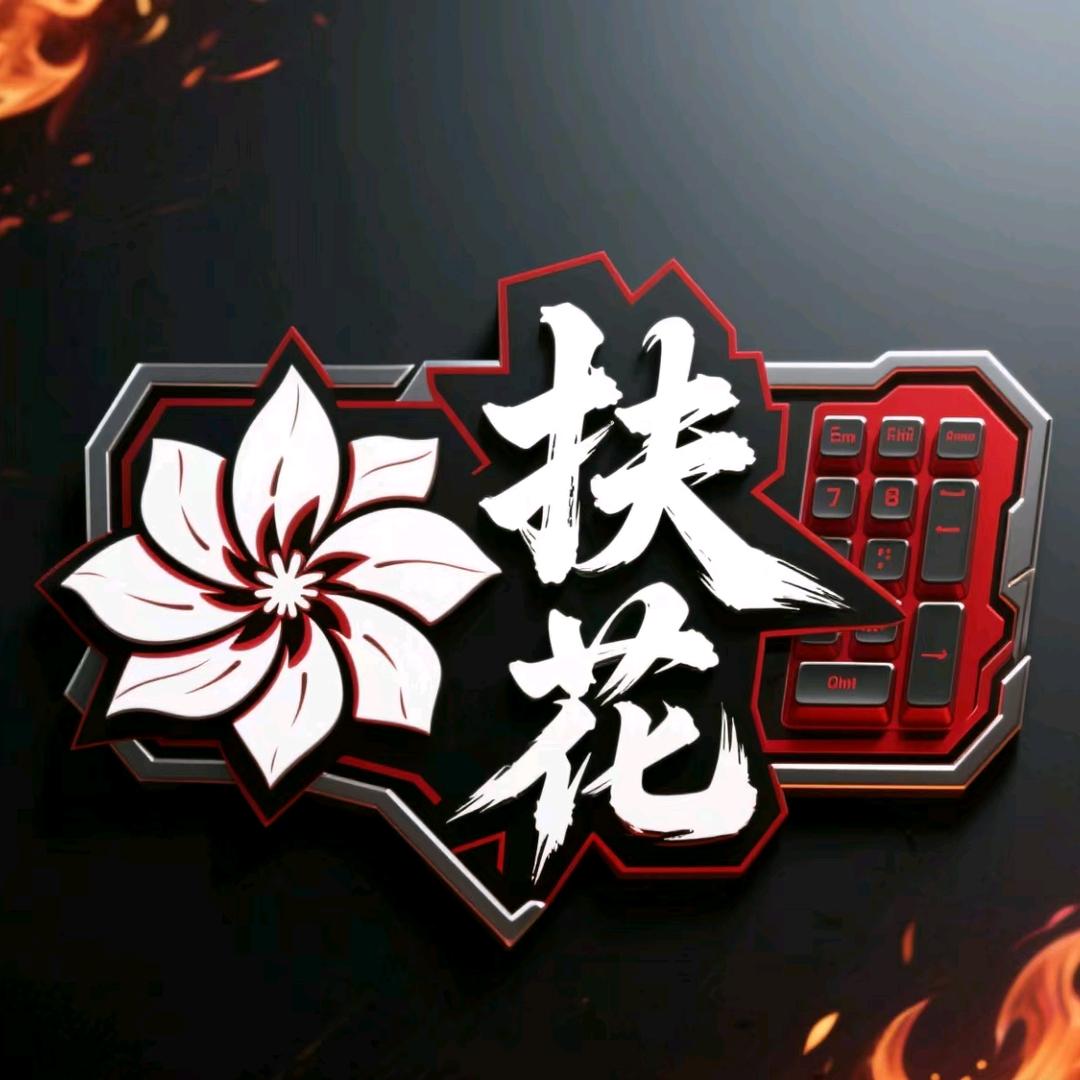 扶花电竞