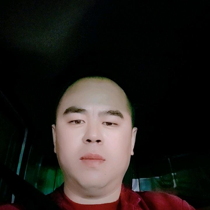 猫爪特大跨国贸易公司丁总