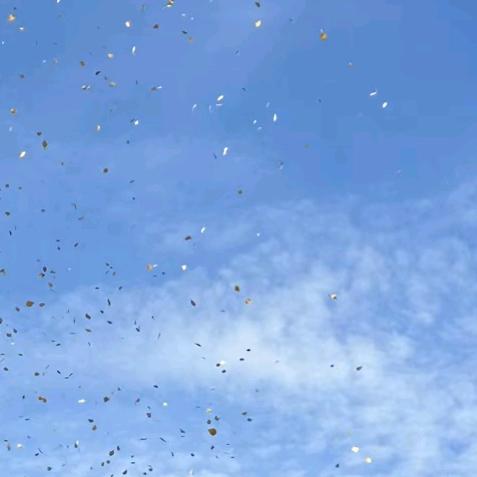 ddjjjjjsjsdjjdjudhdb