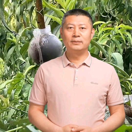果农种植户