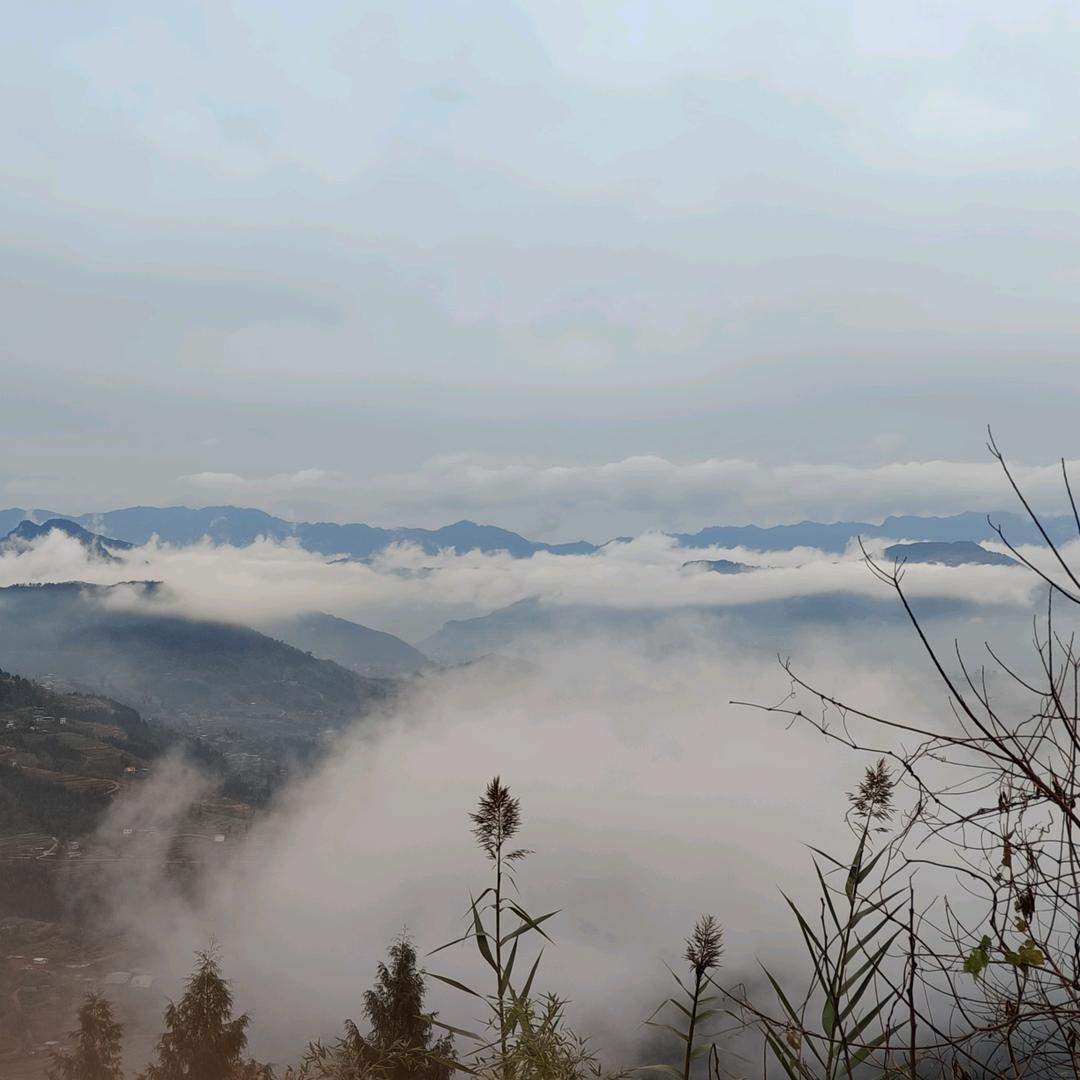 手握明月摘星辰