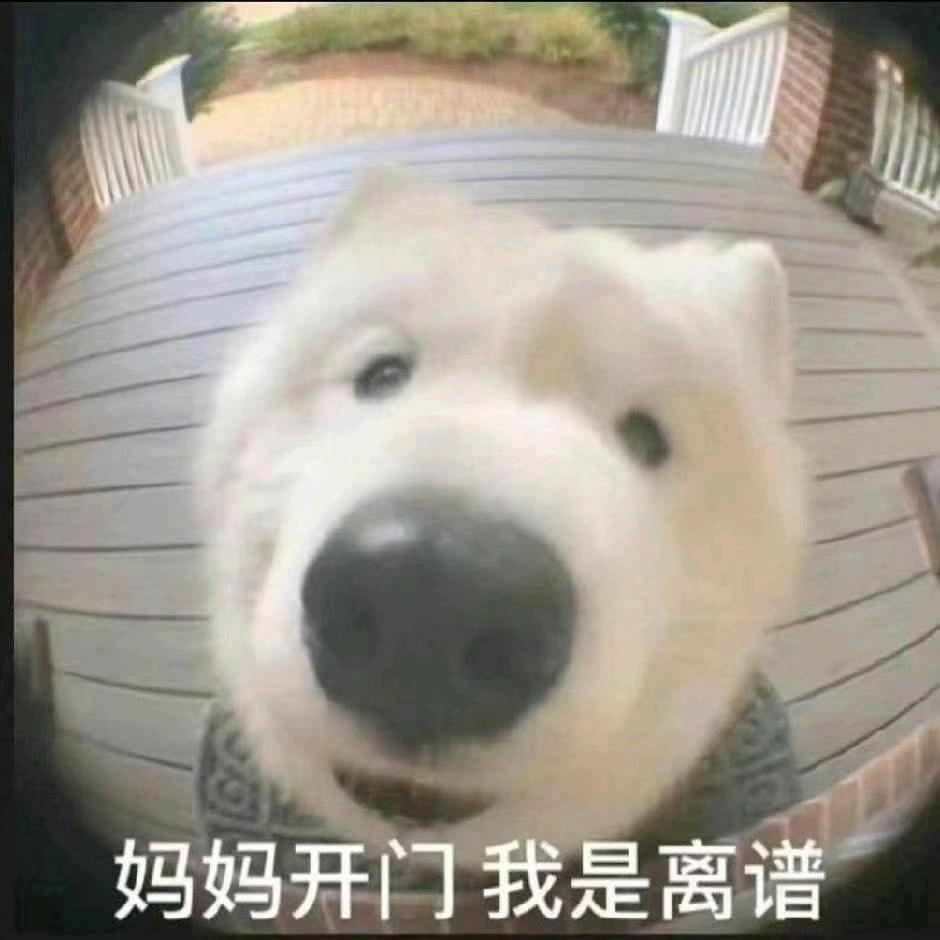 天天睡到自然醒