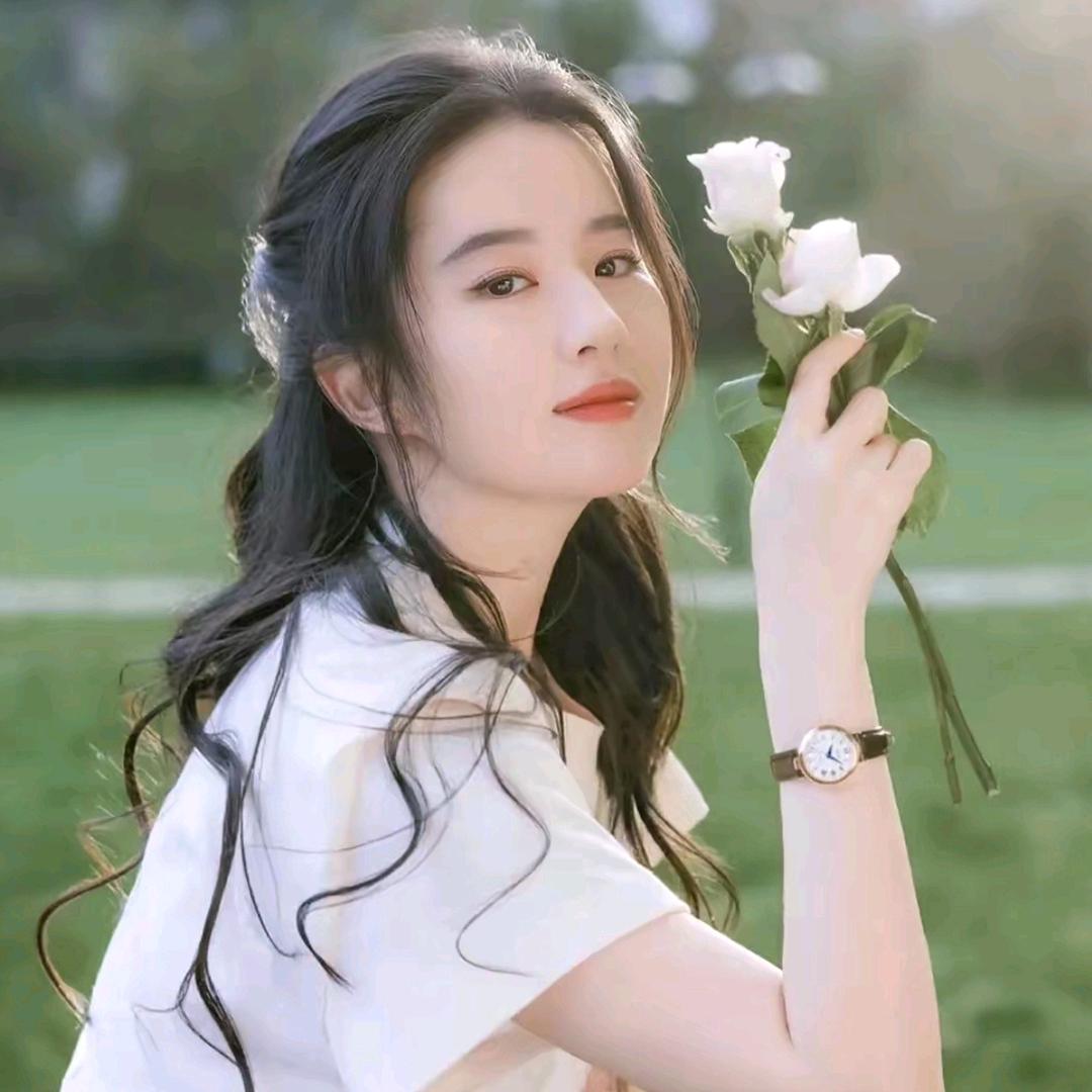 鑫鑫甄选