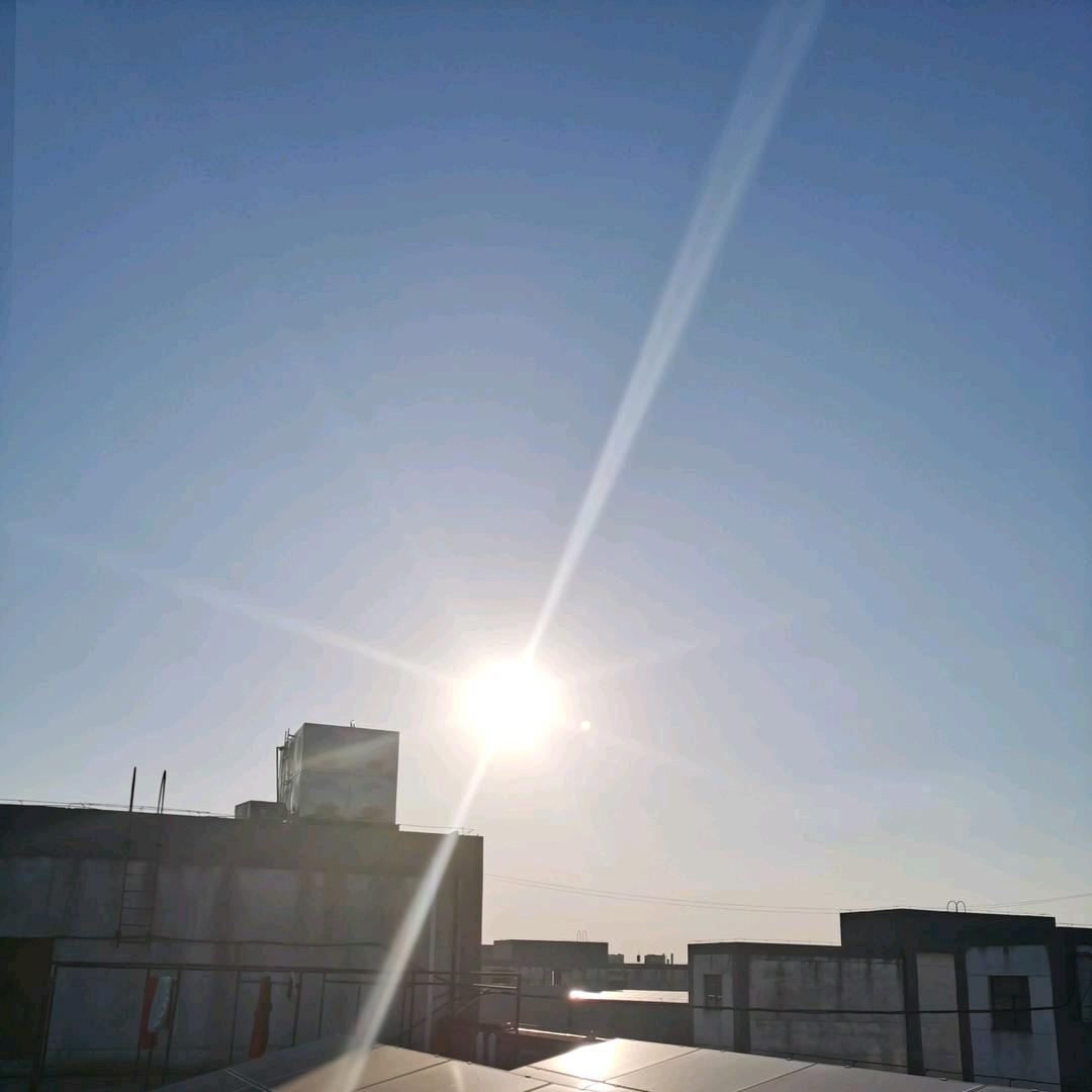 ✔︎大鲫大鲤花开富贵🌈