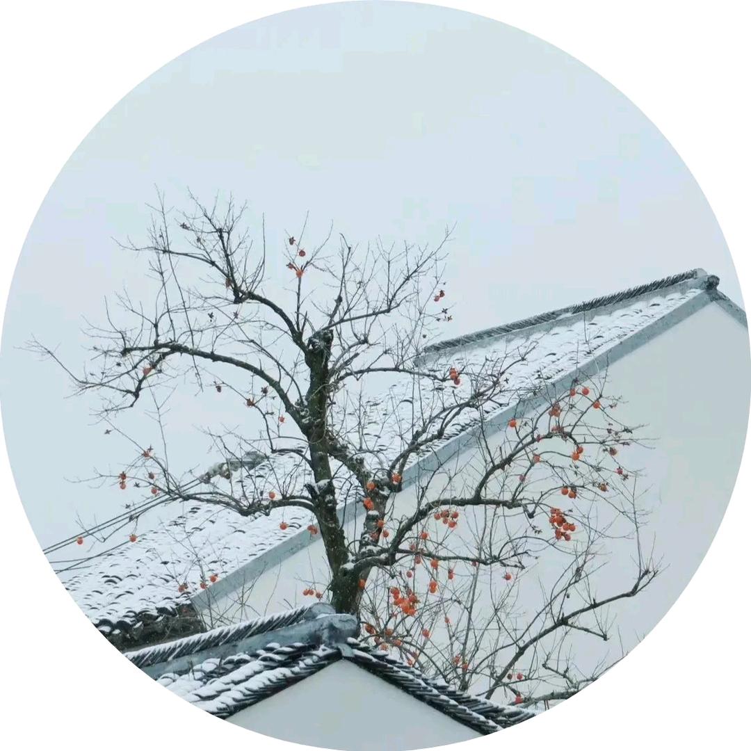 三只崽的爹