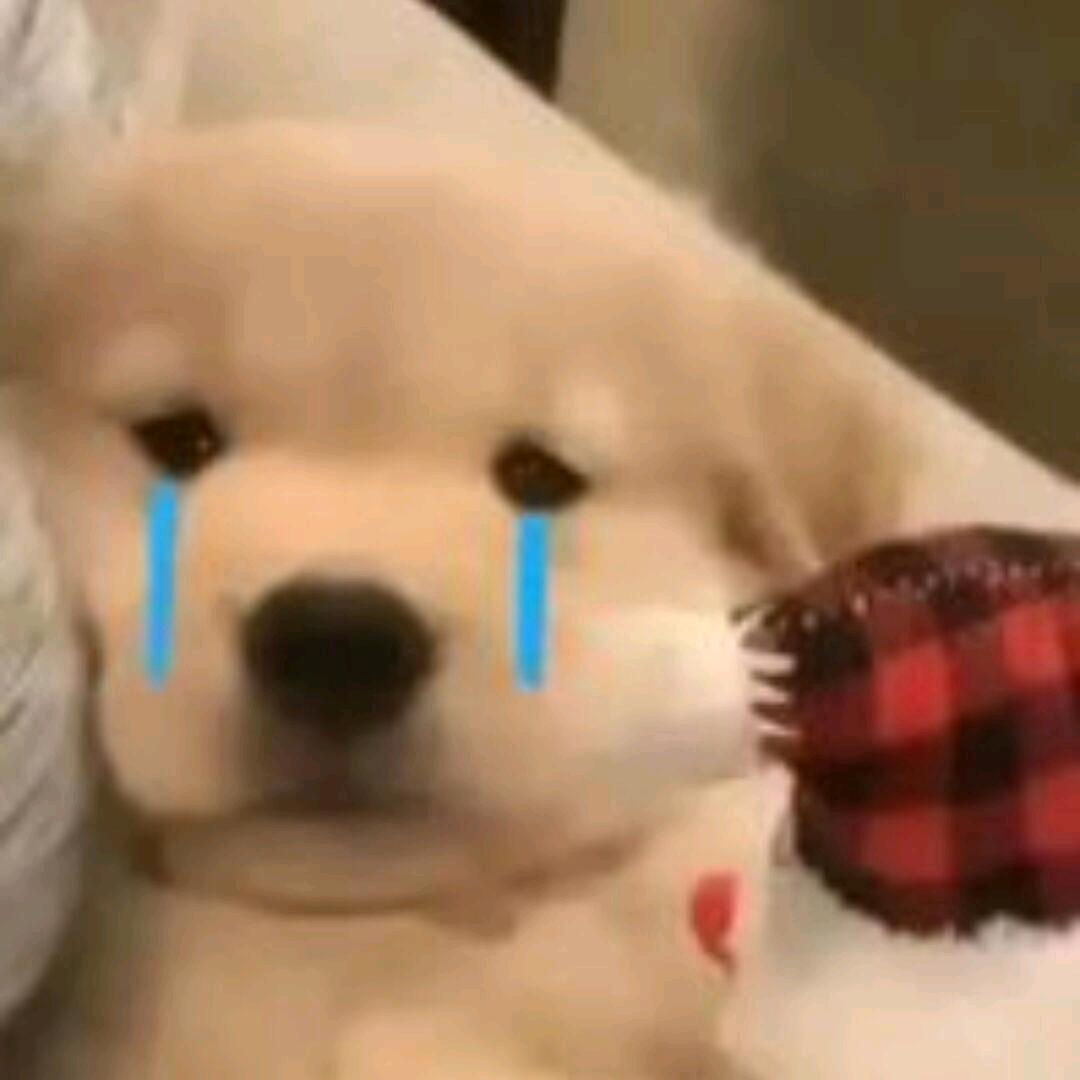 诸葛景澈（止戈被暴揍）