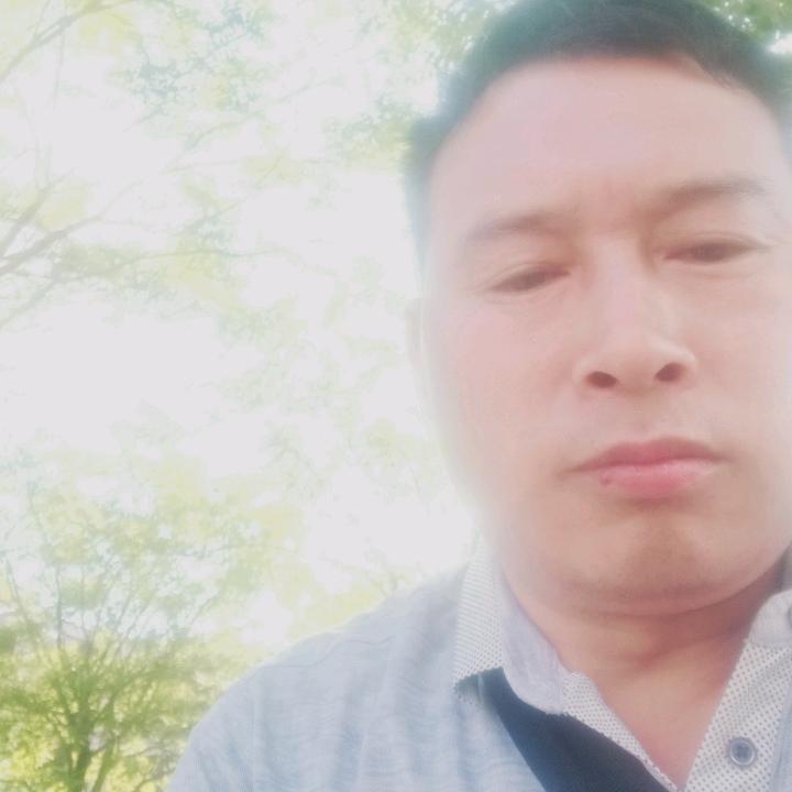 陈铁滚