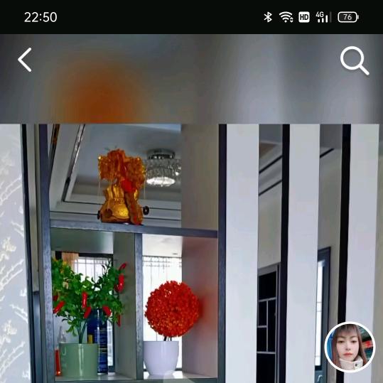 挥不去的执着🎉