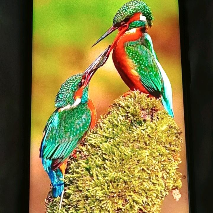 若爱忘了已成追忆
