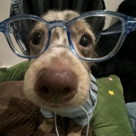 骧骊（三角洲代肝）