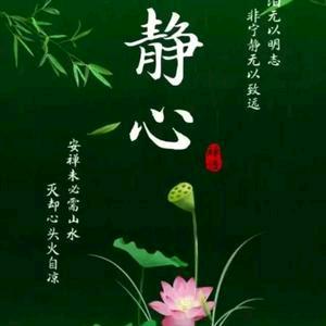 小鱼趣测