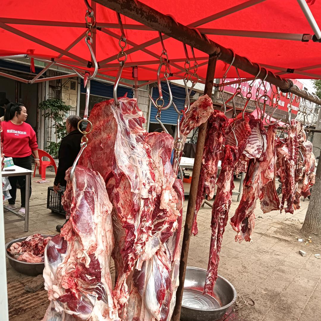 牛肉哥
