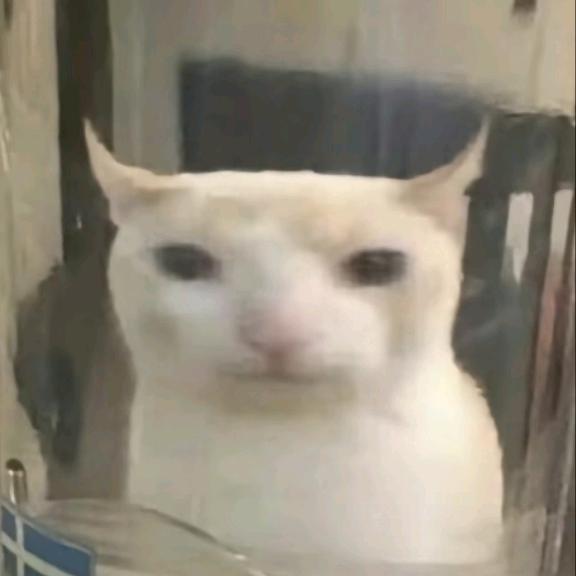 泽呐喃喃