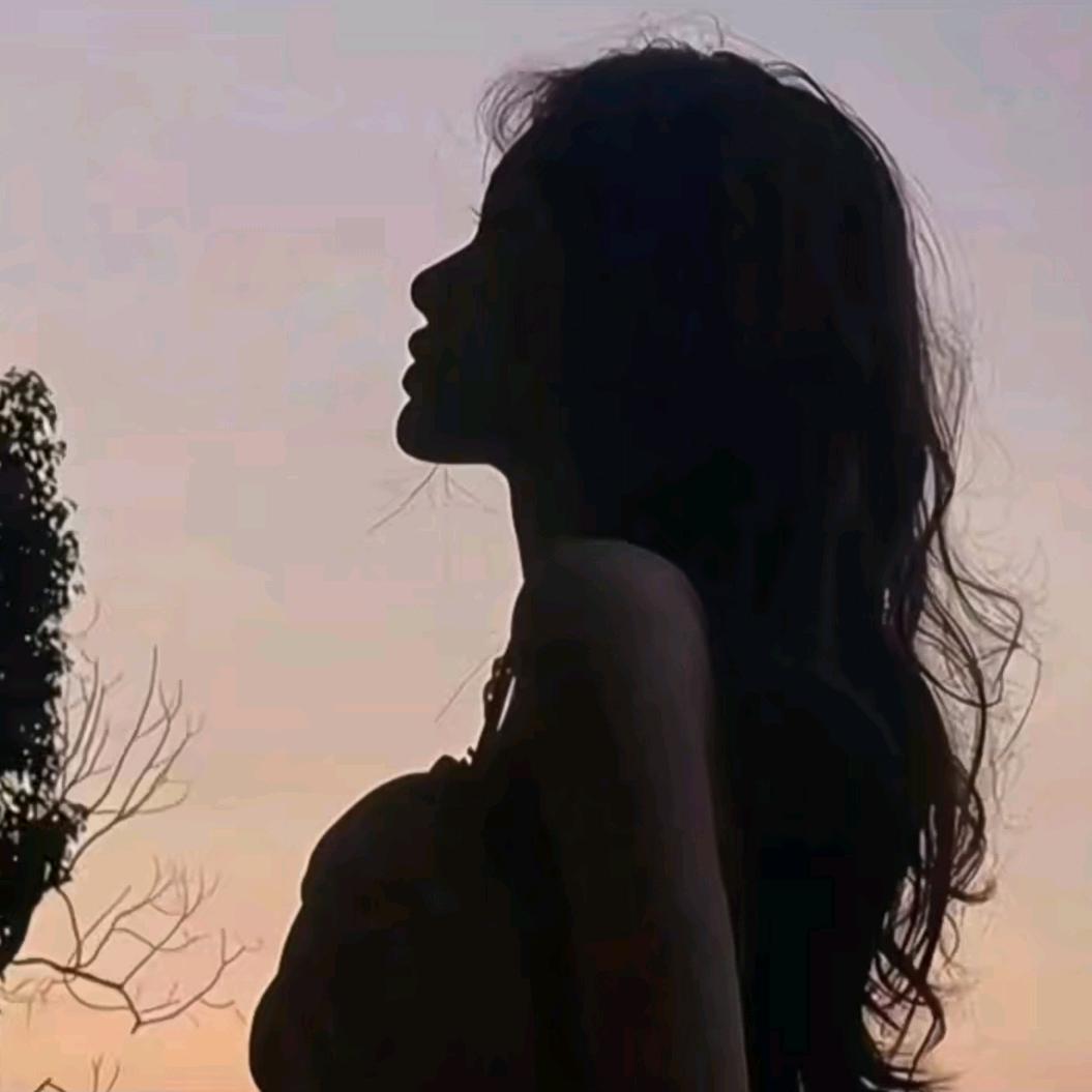 迷路于月色下🦄