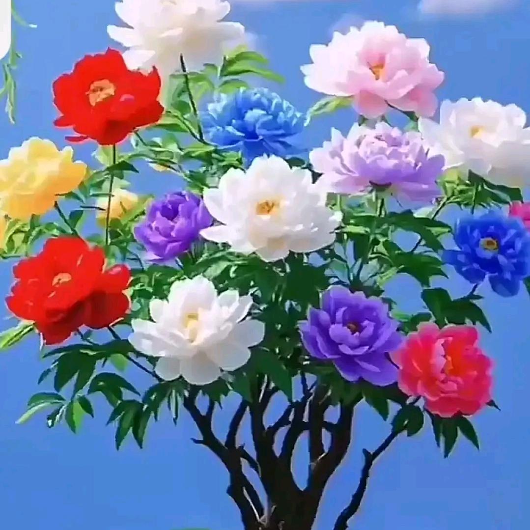 &每天都要笑着过