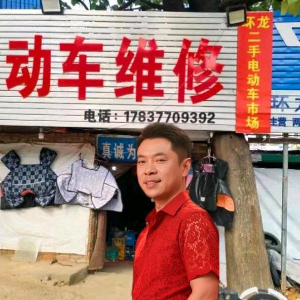 邓州市环龙电动二手车市场