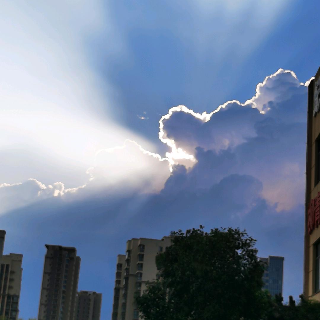 爱吃素菜馄饨的白明