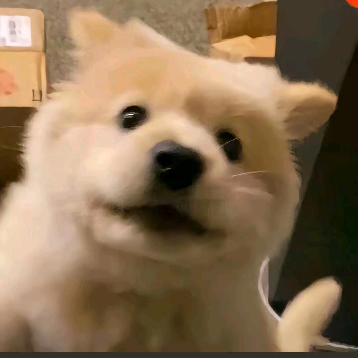 弹奏曲