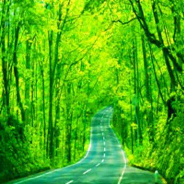 公牛旗舰店（通衢路店）