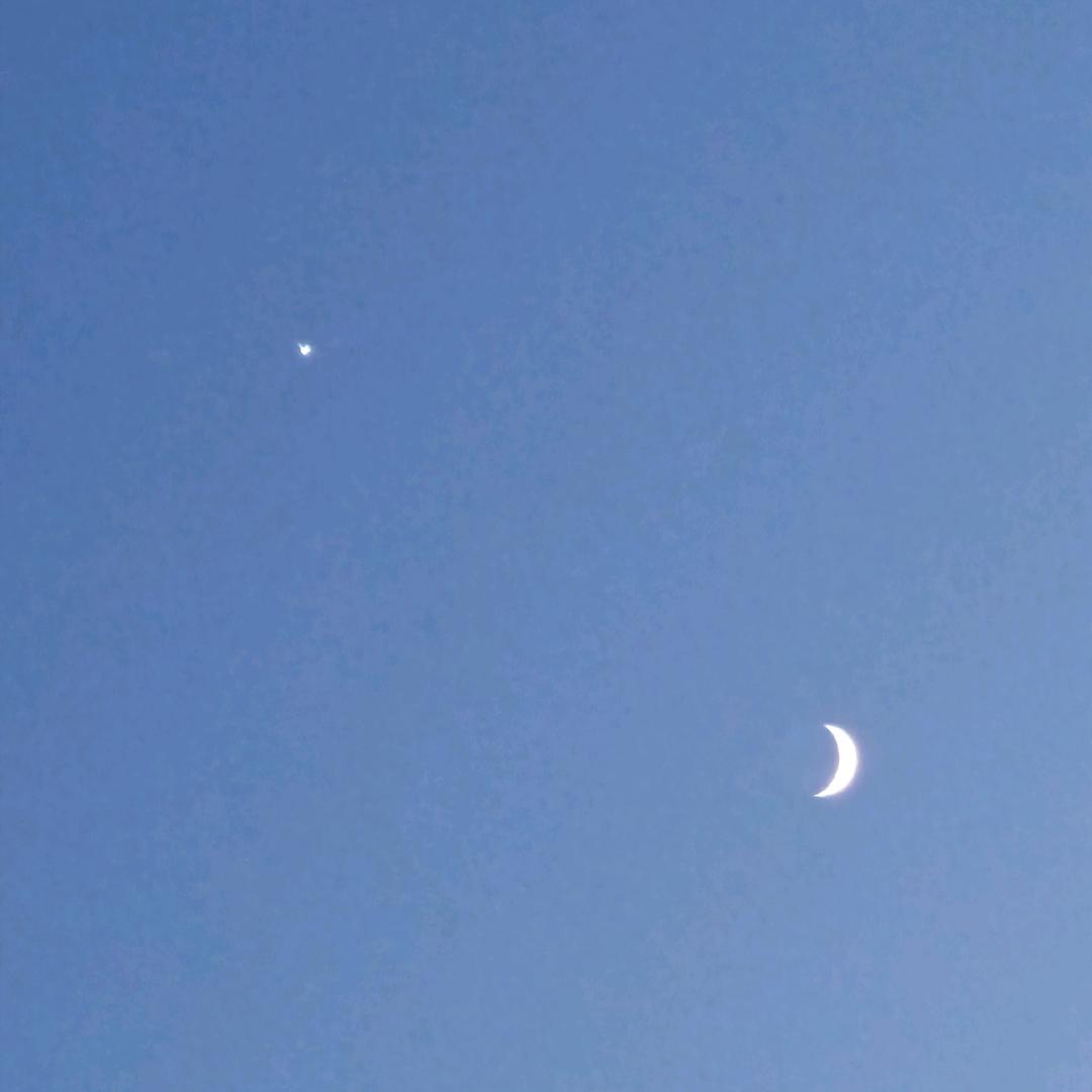 伍月捌