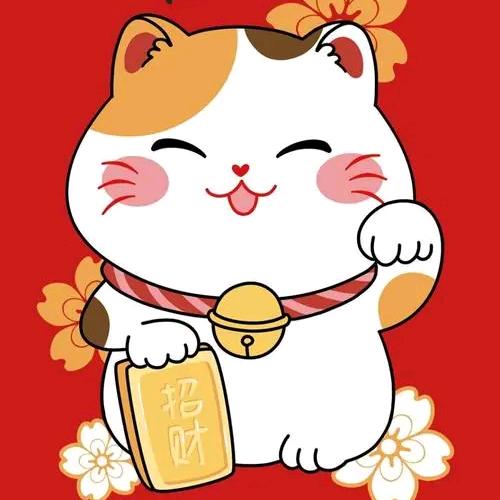 小鑫爱生活