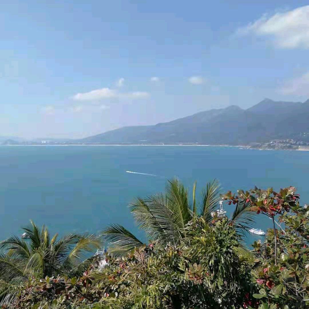 6🌴海🌴