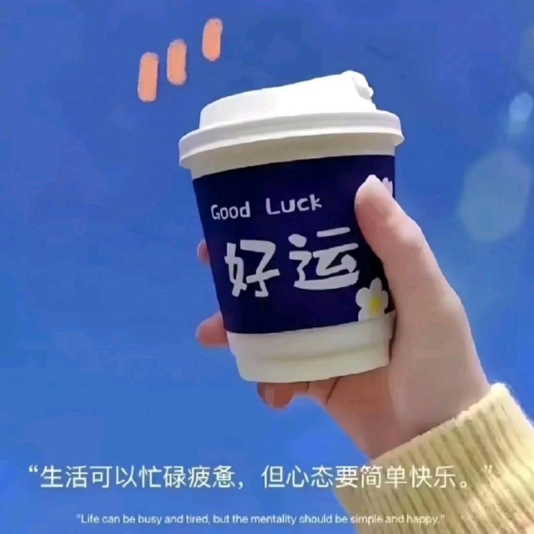 小趴菜的天空&