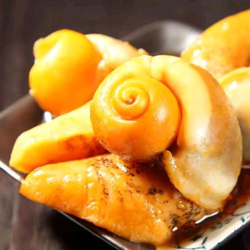 大连海洋岛鲍鱼螺