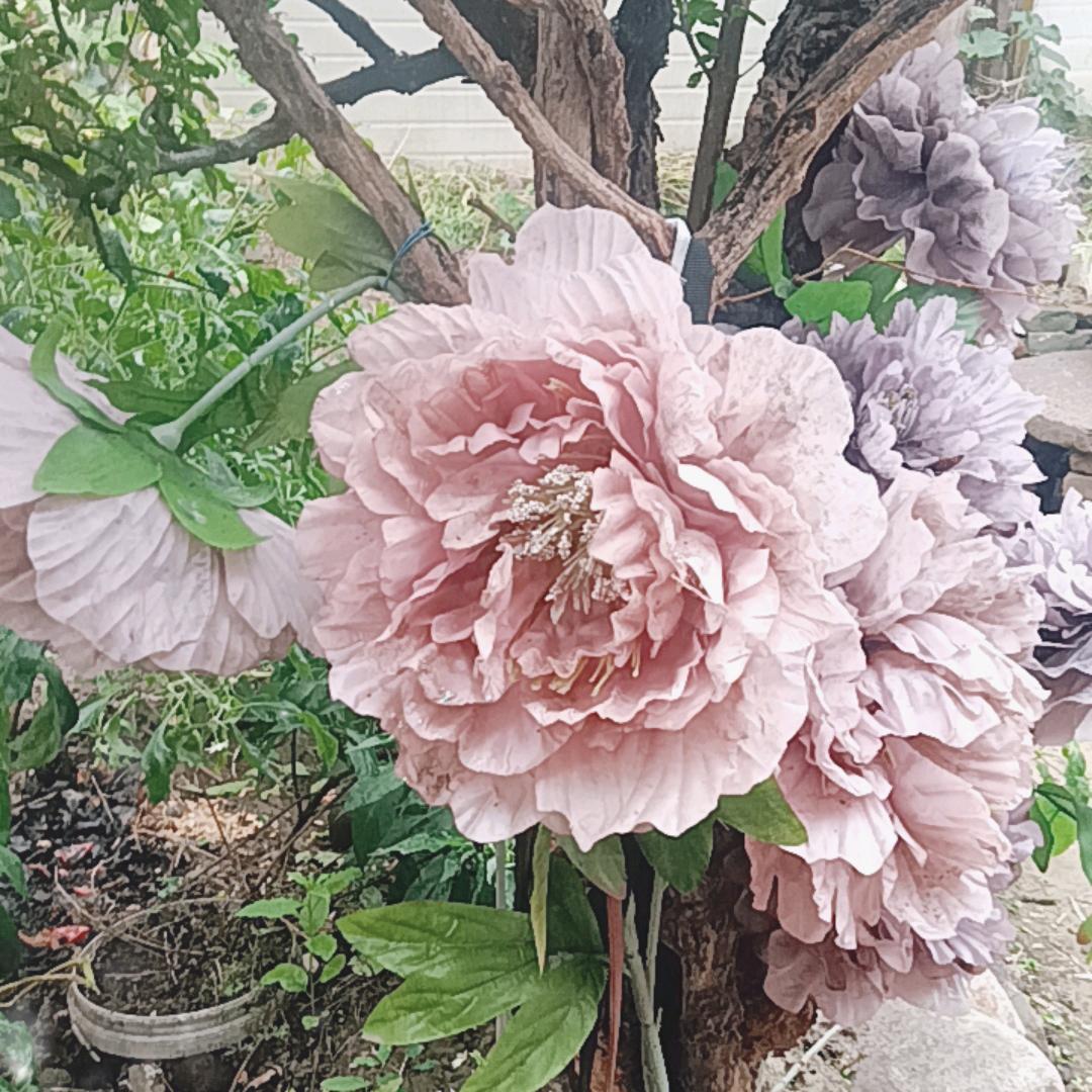 圣过以切