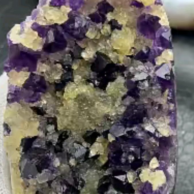 ✨🐾一杯清茶🐾✨